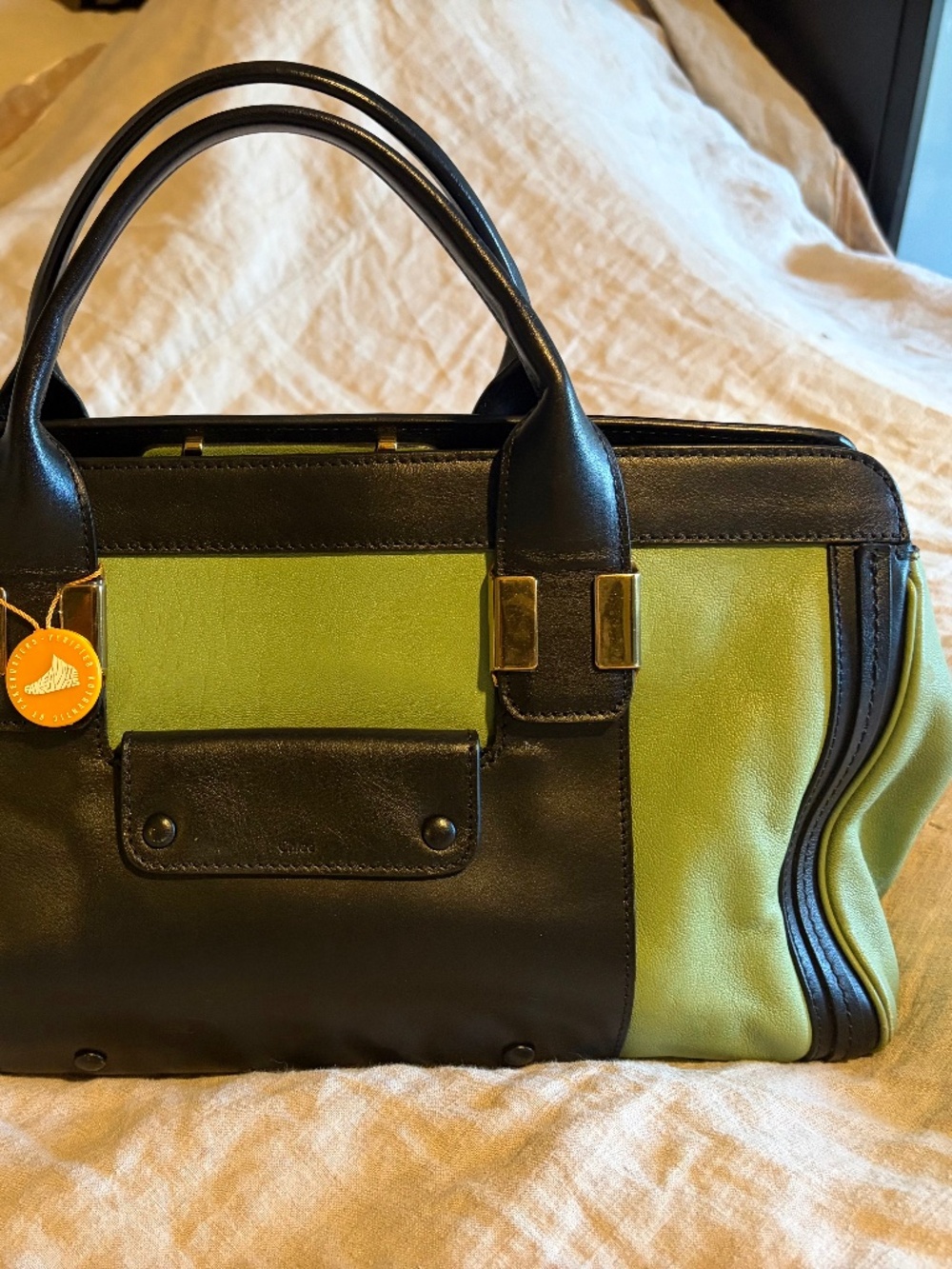 Chloe Alice Two-Way Satchel Bag in Mint Green and Black